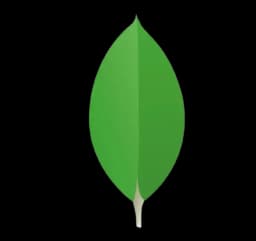 Mongodb